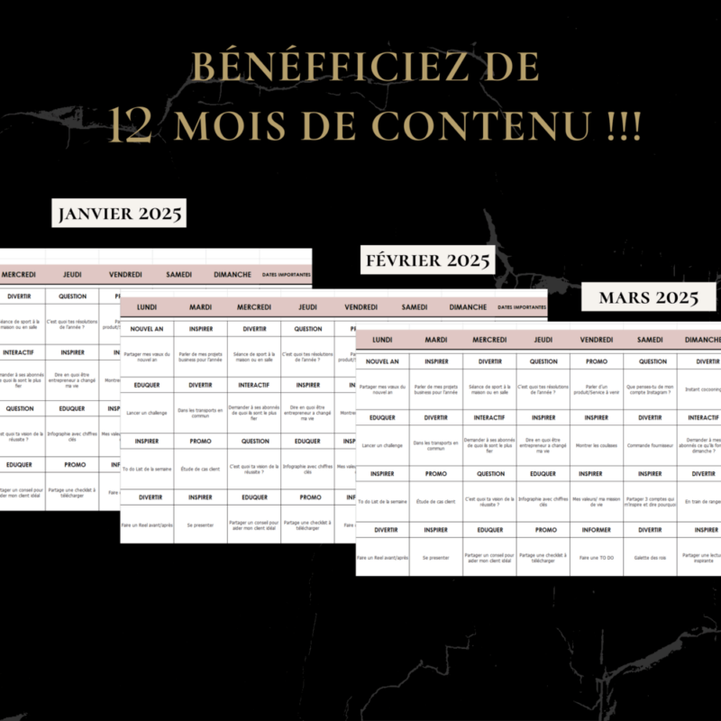 365 idées de contenu Instagram, 365 idées de posts instagram, 365 idées de publications Instagram, quoi poster sur instagram, quoi publier sur instagram, templates instagram stories français, instagram pour les entreprises, compte instagram professionnel