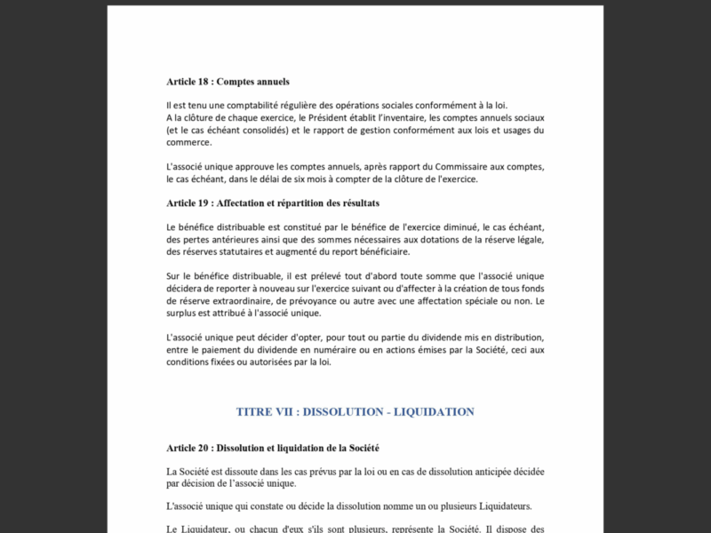 Modèle de Statuts SASU (prêts à l'emploi) - rédigé par une Juriste Administratif – Image 4